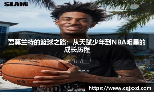JN体育官网